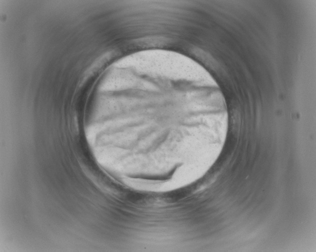 X0000074950254200609291855