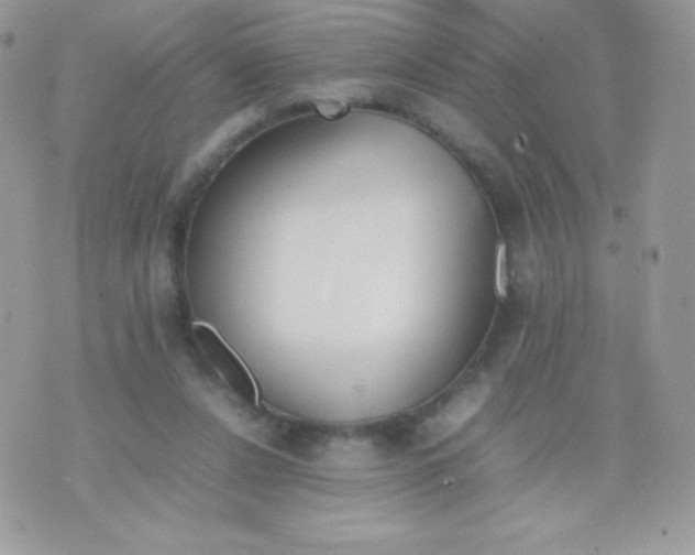 X0000074950256200609291855