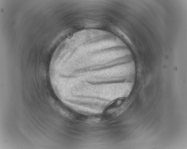 X0000074950257200609291855