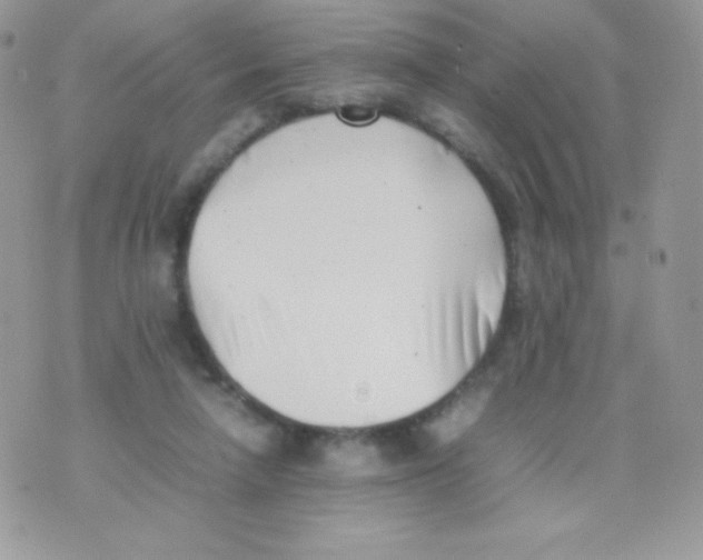 X0000074950258200609291855