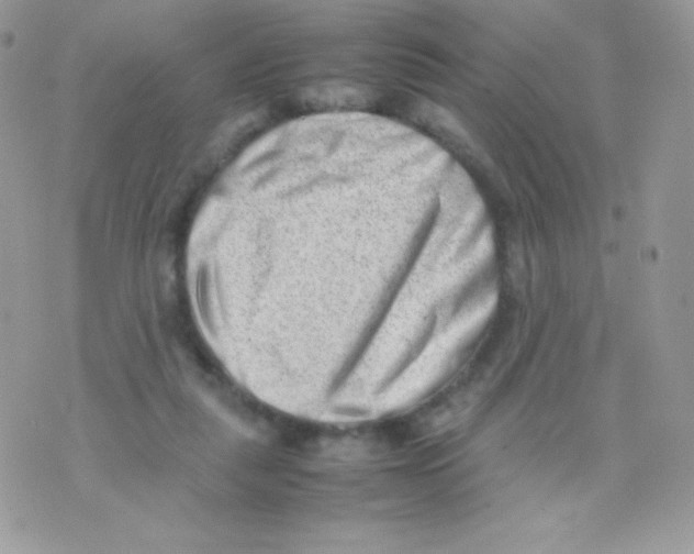 X0000074950259200609291855