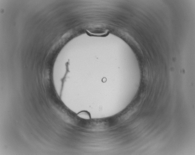 X0000074950260200609291855