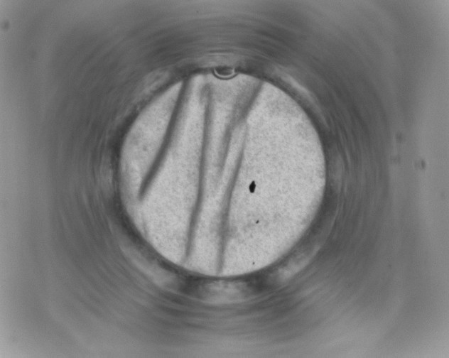 X0000074950261200609291855