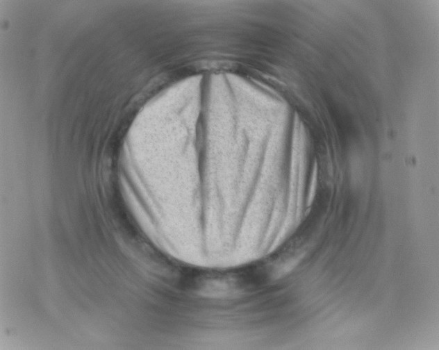 X0000074950263200609291855