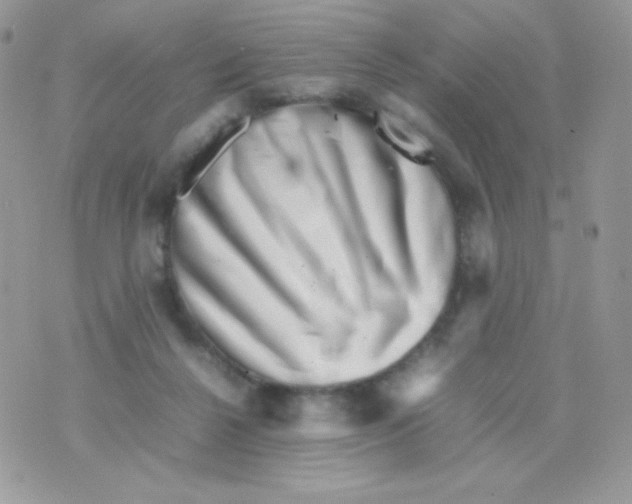 X0000074950264200609291855