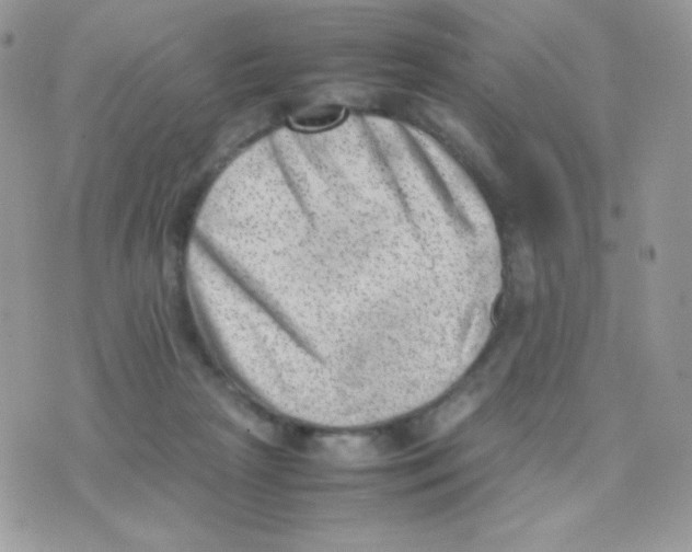 X0000074950265200609291855