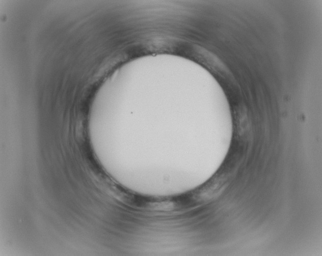 X0000074950266200609291855