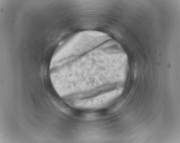 X0000074950268200609291855