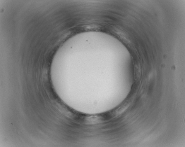 X0000074950269200609291855