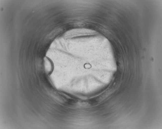 X0000074950270200609291855