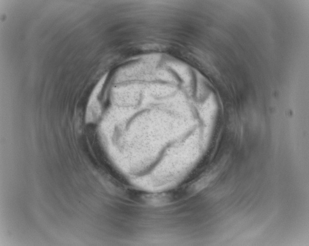 X0000074950273200609291855