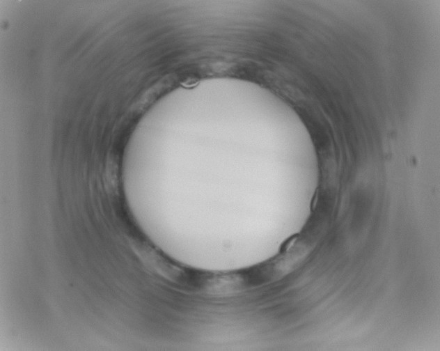 X0000074950274200609291855