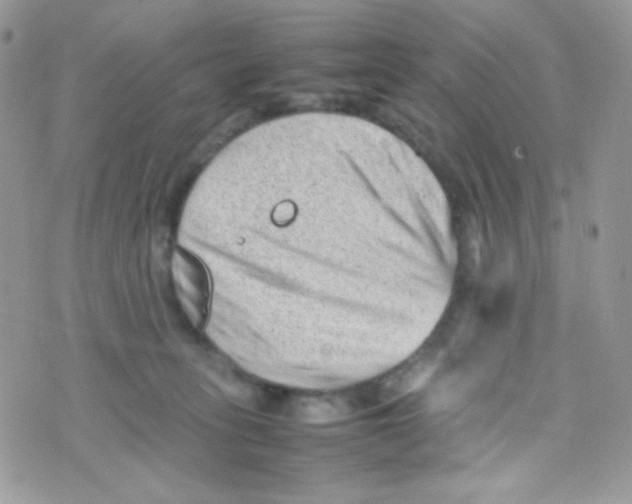 X0000074950275200609291855