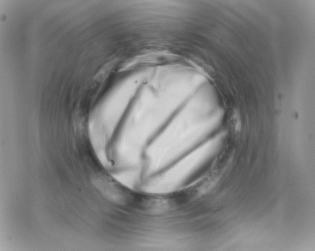 X0000074950276200609291855