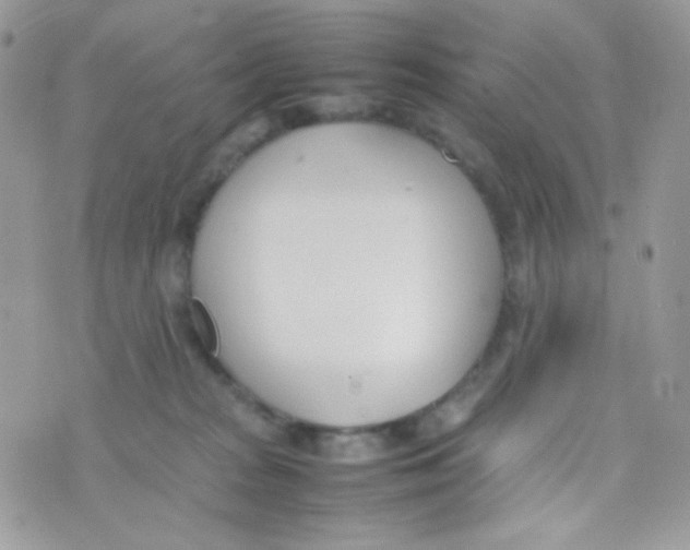 X0000074950277200609291855