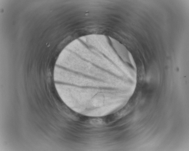 X0000074950279200609291855