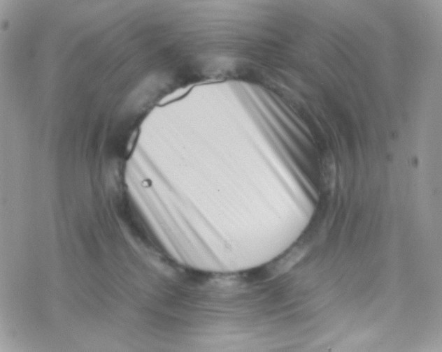 X0000074950280200609291855