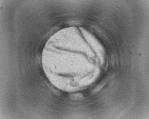 X0000074950281200609291855