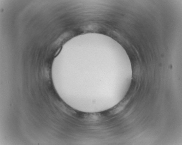 X0000074950282200609291855