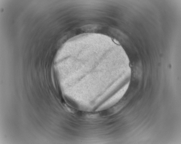 X0000074950283200609291855