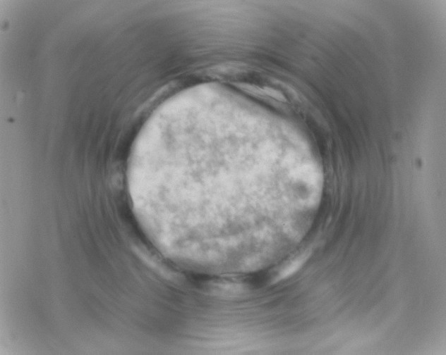 X0000074950284200609291855