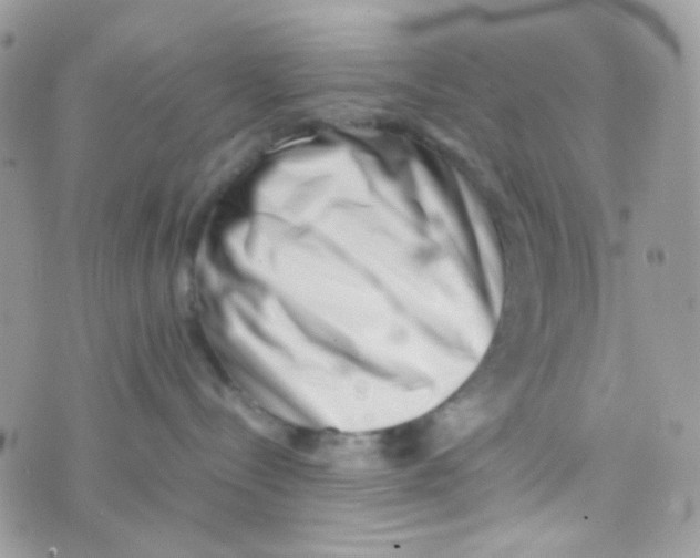 X0000074950288200609291855