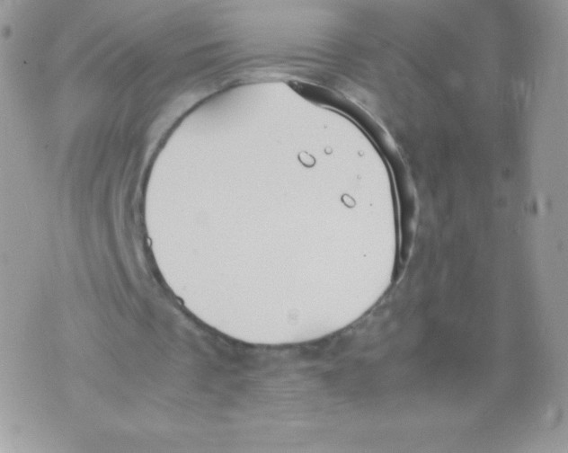 X0000074950289200609291854