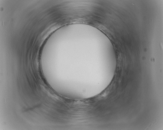 X0000074950290200609291854