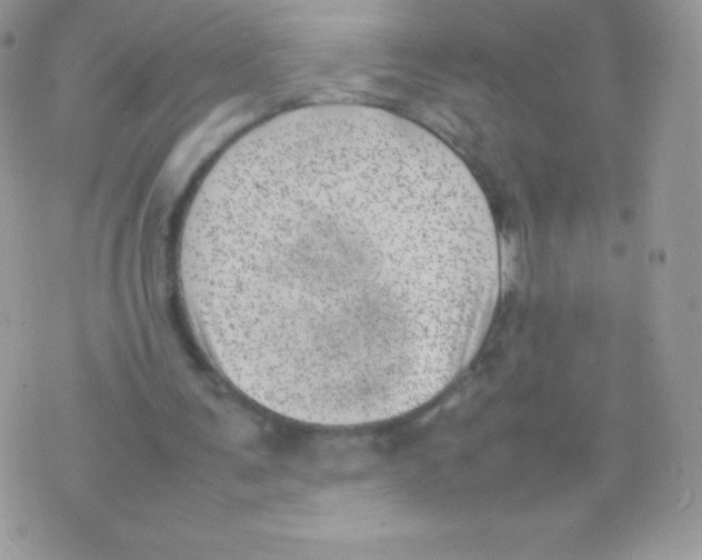 X0000074950291200609291854