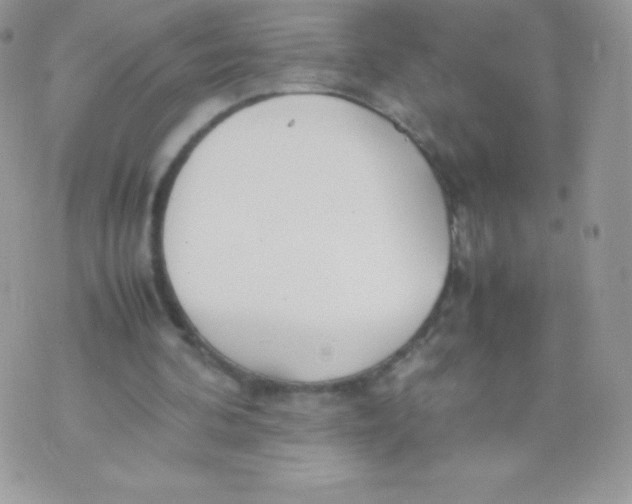 X0000074950292200609291854