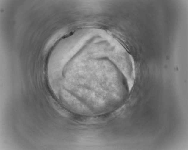 X0000074950293200609291854