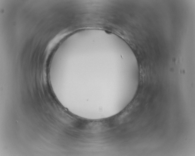 X0000074950294200609291854