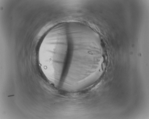 X0000074950295200609291854