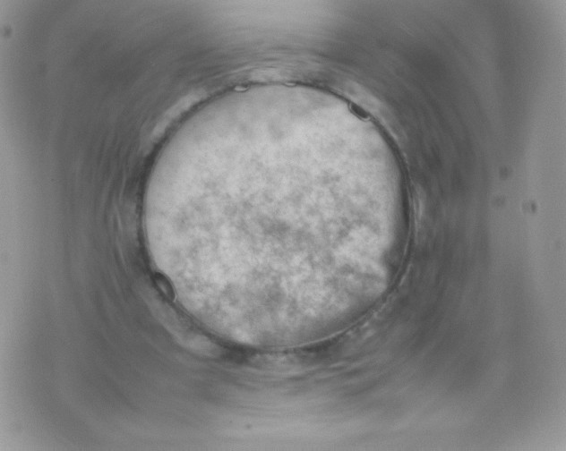 X0000074950297200609291854