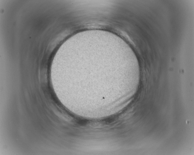 X0000074950299200609291854