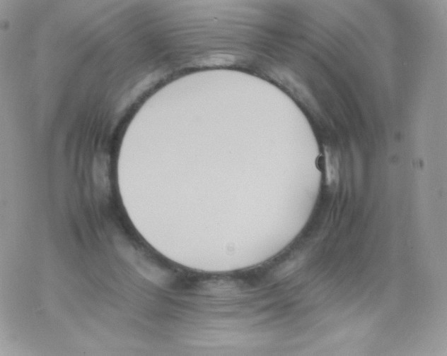 X0000074950300200609291854