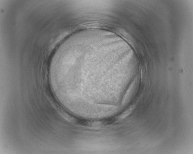 X0000074950301200609291854