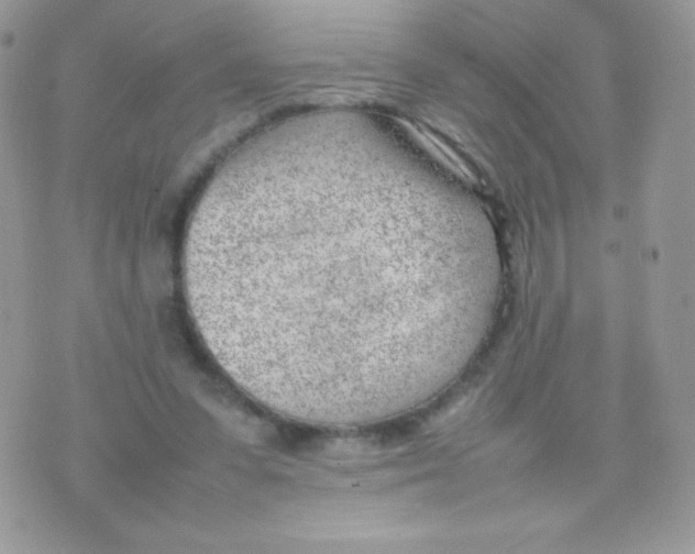 X0000074950303200609291854