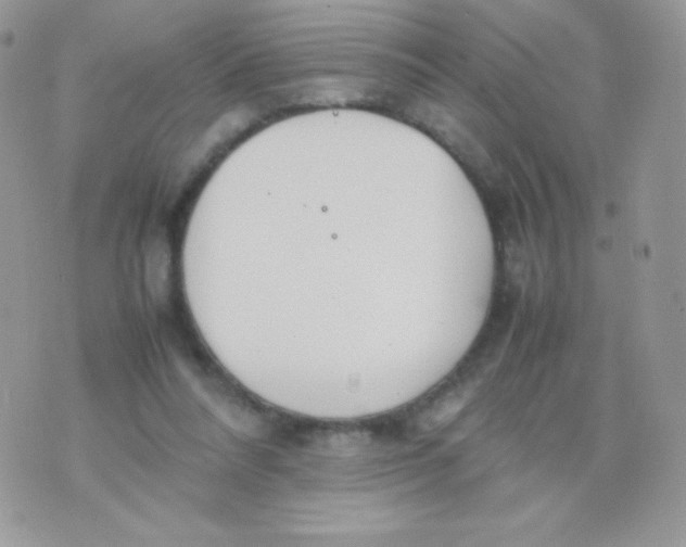 X0000074950304200609291854