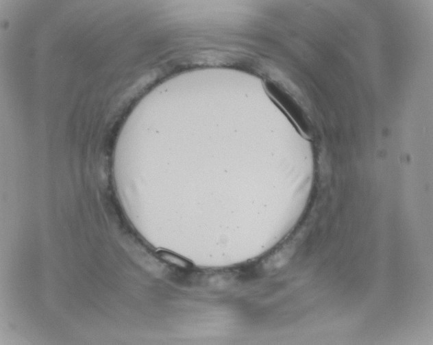 X0000074950305200609291854