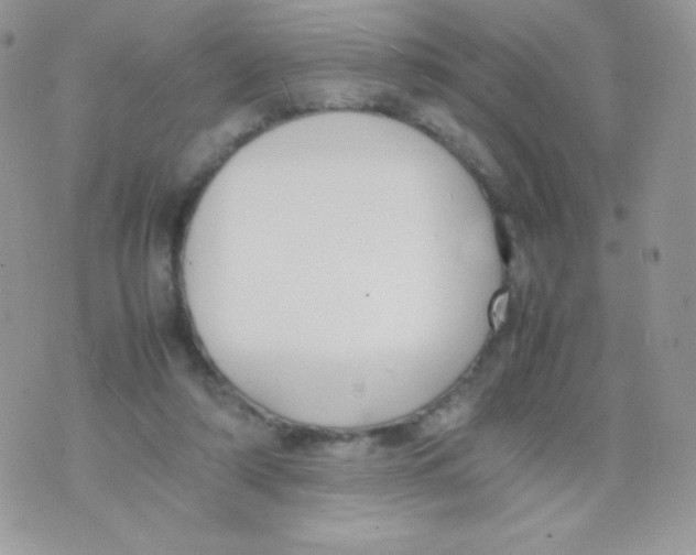 X0000074950306200609291854