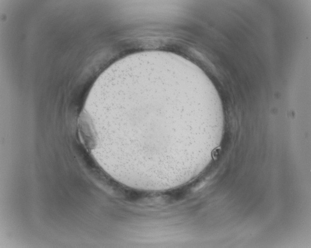 X0000074950307200609291854