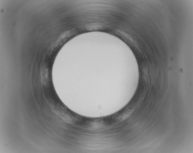 X0000074950308200609291854