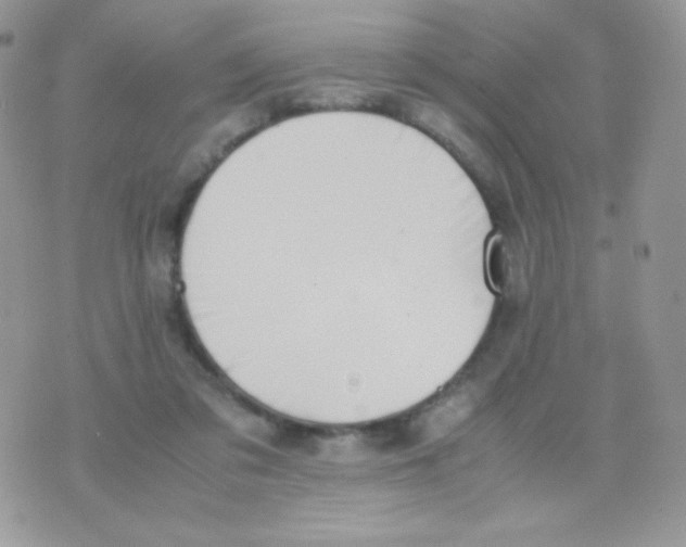 X0000074950309200609291854