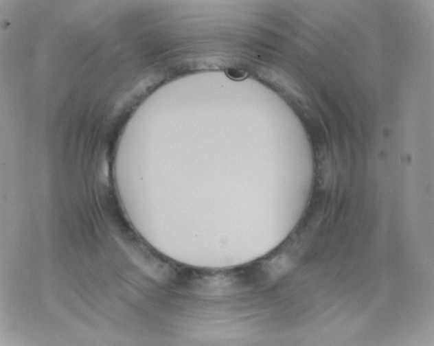 X0000074950310200609291854