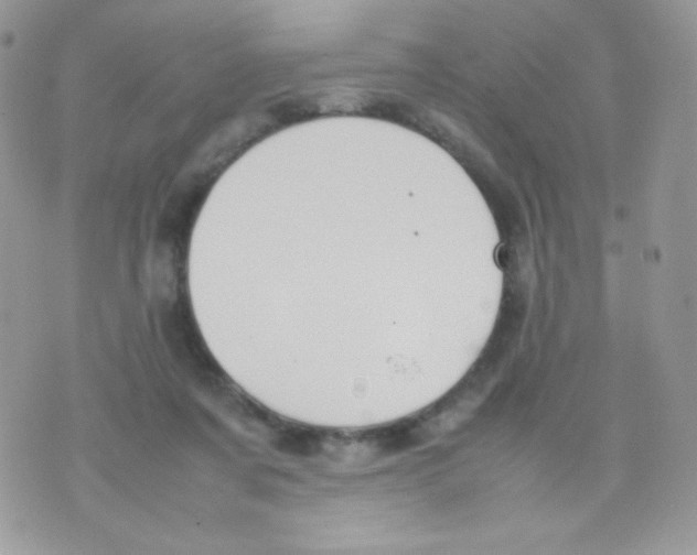 X0000074950311200609291854