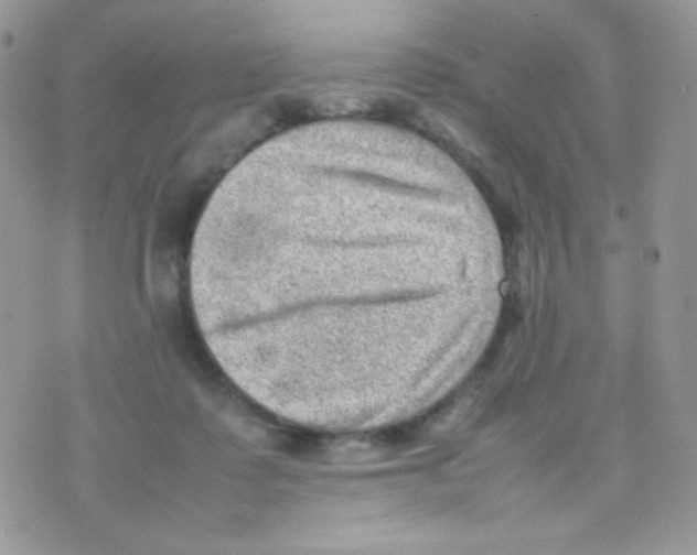 X0000074950315200609291854