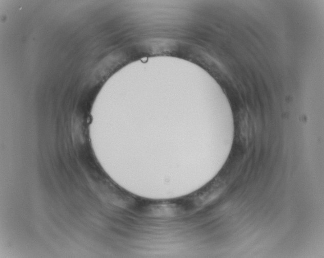 X0000074950316200609291854