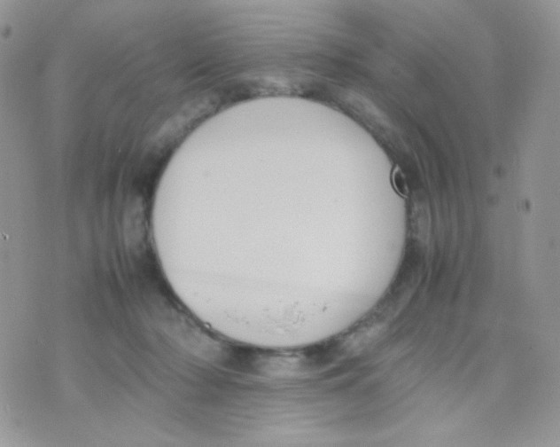 X0000074950318200609291854