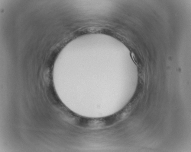 X0000074950319200609291854